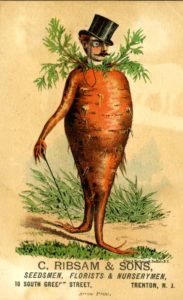 Carrotman Seed trading card